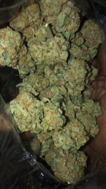 8174153332, female escort, Dallas