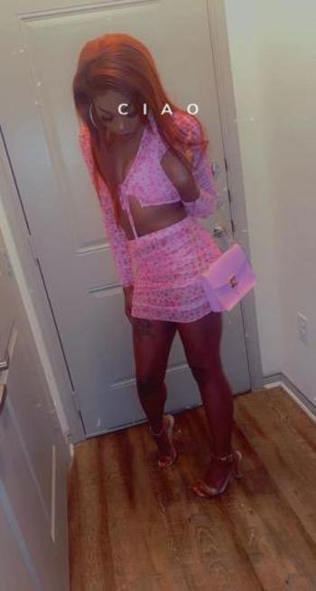 2144073536, female escort, Dallas